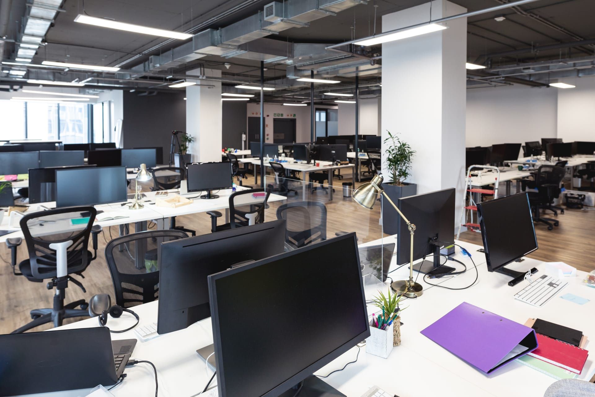 Open-plan fintech office with developers at workstations